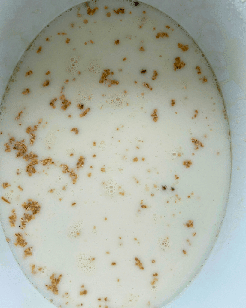 milk and steel cut oats in a slow cooker before cooking
