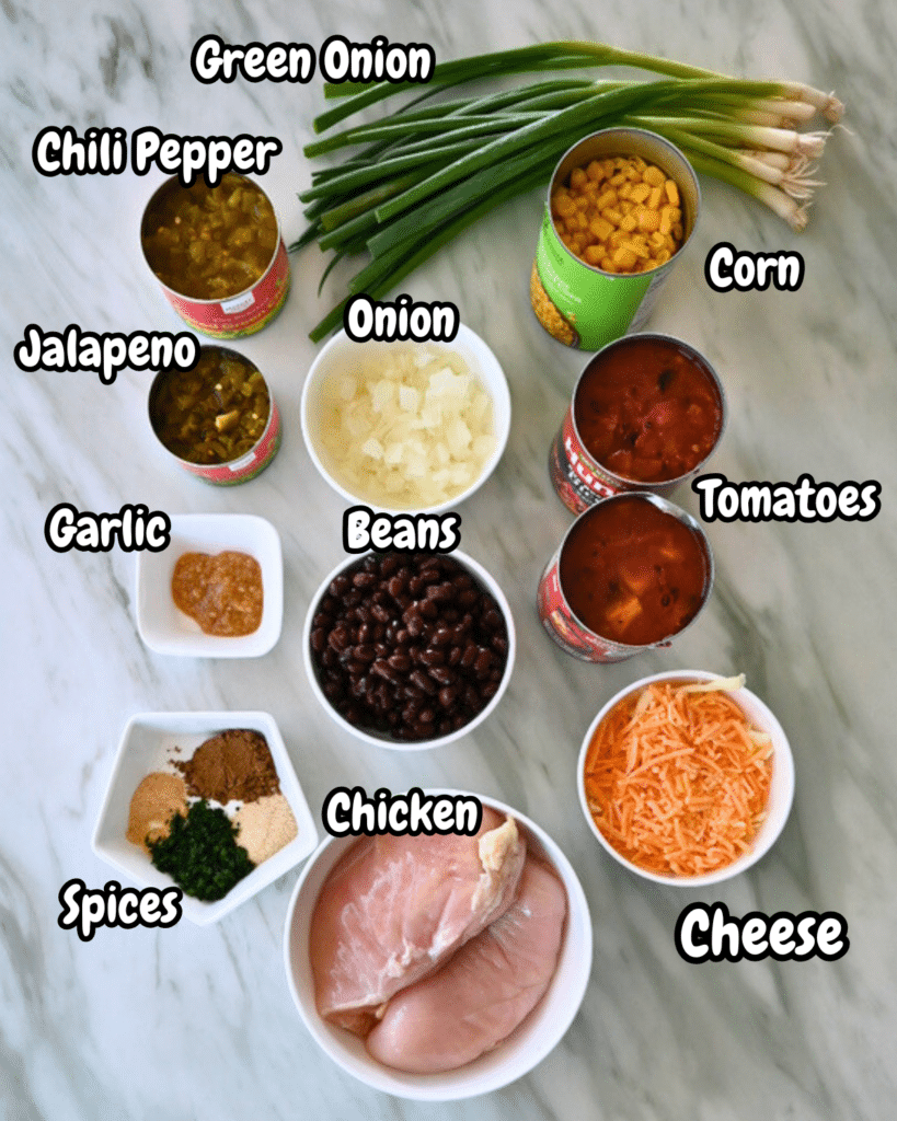 Ingredients for slow cooker chicken Santa Fe on marble with labels including: green onion, canned beans, spices, chicken, and cheese.