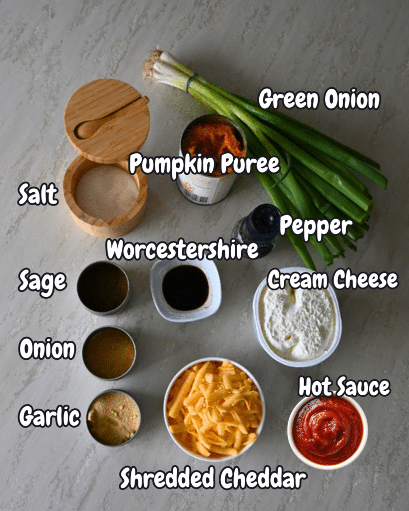 A top-down photo shows all the ingredients for a slow cooker savory pumpkin dip arranged on a countertop. Each ingredient-salt, sage, onion, garlic, pumpkin puree, Worcestershire sauce, shredded cheddar cheese, cream cheese, hot sauce, pepper, and green onion-is clearly labeled next to its portion.